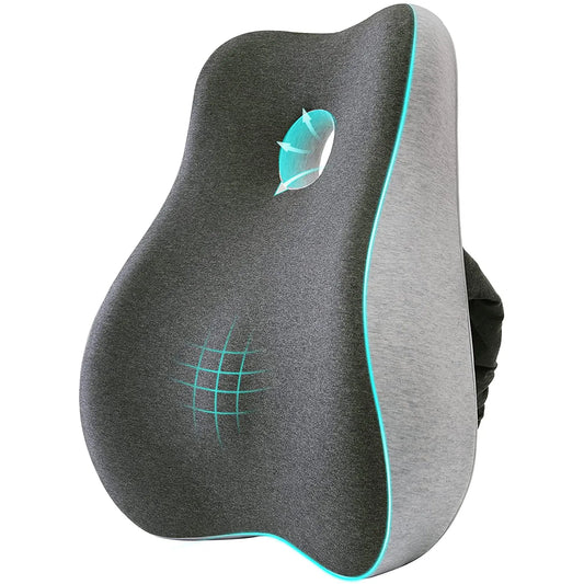 Cojín Lumbar con alivio de espalda